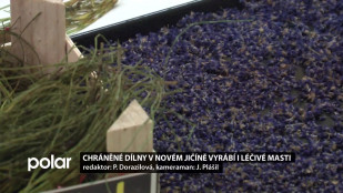 Chráněné dílny v Novém Jičíně vyrábí i léčivé masti