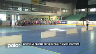 Hokejová plocha bez ledu slouží jiným sportům