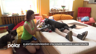 Klientům karvinského stacionáře pomáhá canisterapie