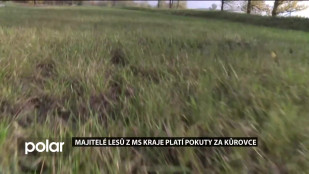 Majitelé lesů z MS kraje platí pokuty za kůrovce