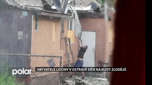 Obyvatele Liščiny v Ostravě děsí nájezdy zlodějů