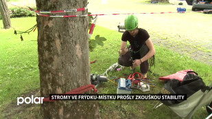 Stromy ve Frýdku-Místku prošly zkouškou stability