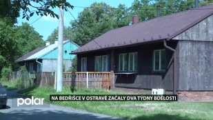 Na Bedřišce v Ostravě začaly 2 týdny bdělosti