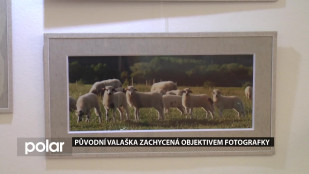 Původní Valaška zachycená objektivem fotografky