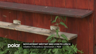 Novojičínský městský med voní po lipách