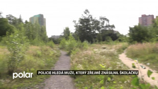 Policie hledá muže, který zřejmě znásilnil školačku