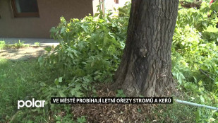 Ve Frýdku-Místku probíhají letní ořezy stromů a keřů