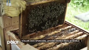 Včelaři jsou spokojeni, letošní snůška medu je skvělá