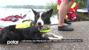 Lidé mohli na přehradě vidět práci záchranářských psů