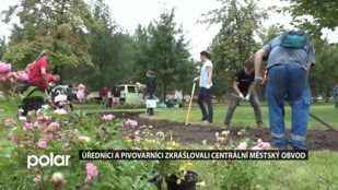 Úředníci a pivovarníci zkrášlovali centrální městský obvod