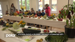 Výstava ovoce a zeleniny zaujala i stonavské děti