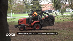 V Karviné se pustili do sběru spadaného listí