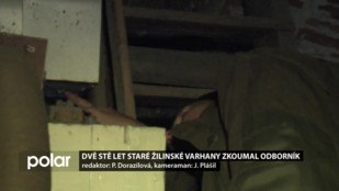 Dvě stě let staré žilinské varhany zkoumal odborník