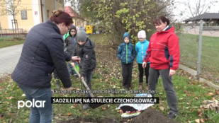 Lipa na stulecie Czechosłowacji