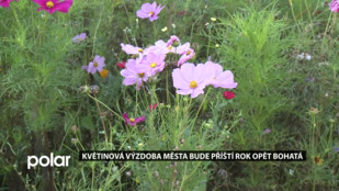 Květinová výzdoba F-M bude příští rok opět bohatá