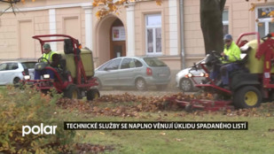 Technické služby F-M se naplno věnují úklidu listí