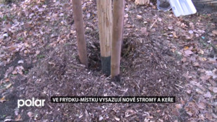 Ve Frýdku-Místku vysazují nové stromy a keře