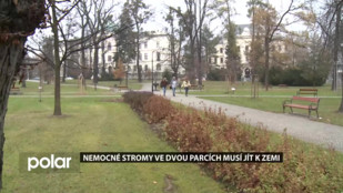 Nemocné stromy ve dvou parcích ve F-M musí jít k zemi