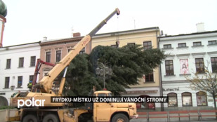 Frýdku-Místku už dominují vánoční stromy