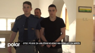 Otec půjde za ubližení kojenci na 8 let za mříže