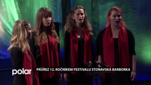 Průřez 12. ročníkem festivalu Stonavská Barborka