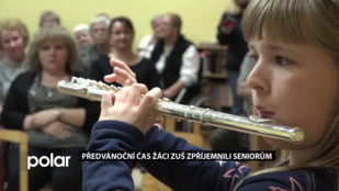 Žáci ZUŠ zpříjemnili seniorům předvánoční čas