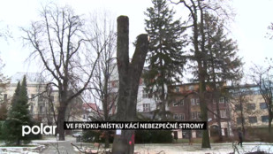 Ve Frýdku-Místku kácí nebezpečné stromy