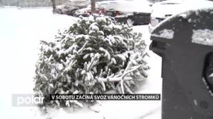 V sobotu začíná ve F-M svoz vánočních stromků