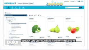 Ostrava ušetřila díky e-aukcím loni 100 milionů korun