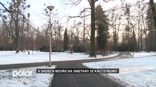 V Sadech Bedřicha Smetany ve Frýdku-Místku se kácí stromy