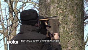 V karvinském parku přibyly na stromech ptačí budky