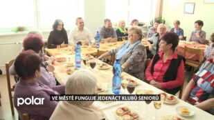 Ve městě funguje jedenáct klubů seniorů