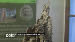 Muzeum zve do světa hmyzu