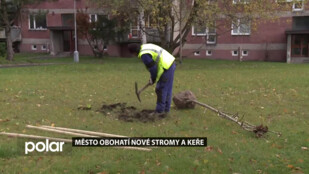 Frýdek-Místek obohatí nové stromy i keře