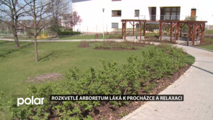 Rozkvetlé Arboretum Frýdek-Místek láká k procházce a relaxaci