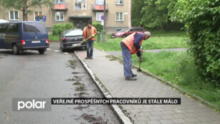 Veřejně prospěšných pracovníků je stále málo