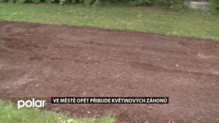 Ve Frýdku-Místku opět přibude květinových záhonů