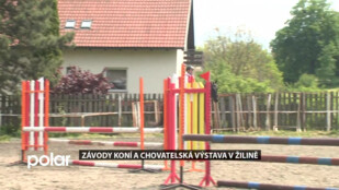 Závody koní a chovatelská výstava v Žilině