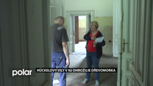 Hückelovy vily v Novém Jičíně ohrožuje dřevomorka