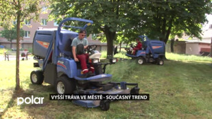 Vyšší tráva ve městě - současný trend