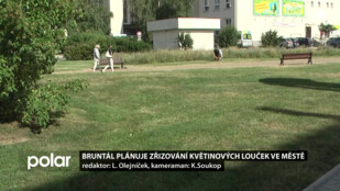 Bruntál plánuje zřizování květinových louček ve městě