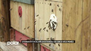 Stonavští včelaři dostanou od obce více peněz