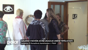 Galerie v Novém Jičíně ukazuje Umění trpělivosti