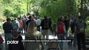 Obrovský zájem o ostravskou ZOO, v červenci padl rekord