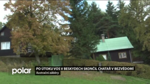 Vosy téměř zabily chataře v Beskydech. Horská služba mu zachránila život