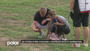 Nejprve sucho, teď agresivní houba. Trávník na stadionu v Havířově trpí a s ním i fotbalisté