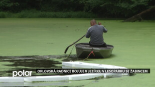 Žabinec se v jezírku v orlovském lesoparku množí raketovou rychlostí. Radnice s rostlinou bojuje