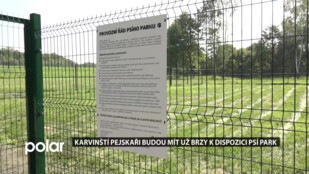 Žádosti pejskařů vyhověno, Karviná postaví psí park. Víme, jak bude vypadat