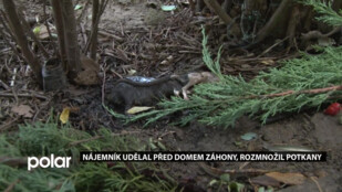 Hnůj, potkani a věci zahrabané v zemi. Lidé v Havířově nechápou, co udělal jeden z nájemníků