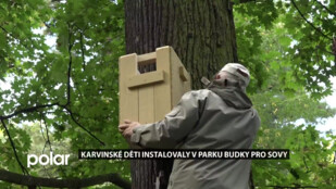 Nové budky pro sovy v Karviné, nainstalovaly je děti s ornitologem